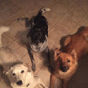 Meet your Posher, Garland